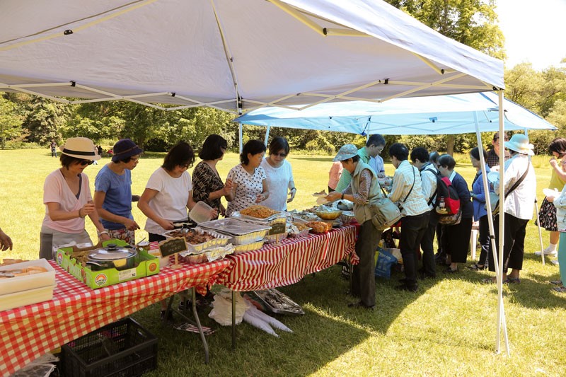 picnic